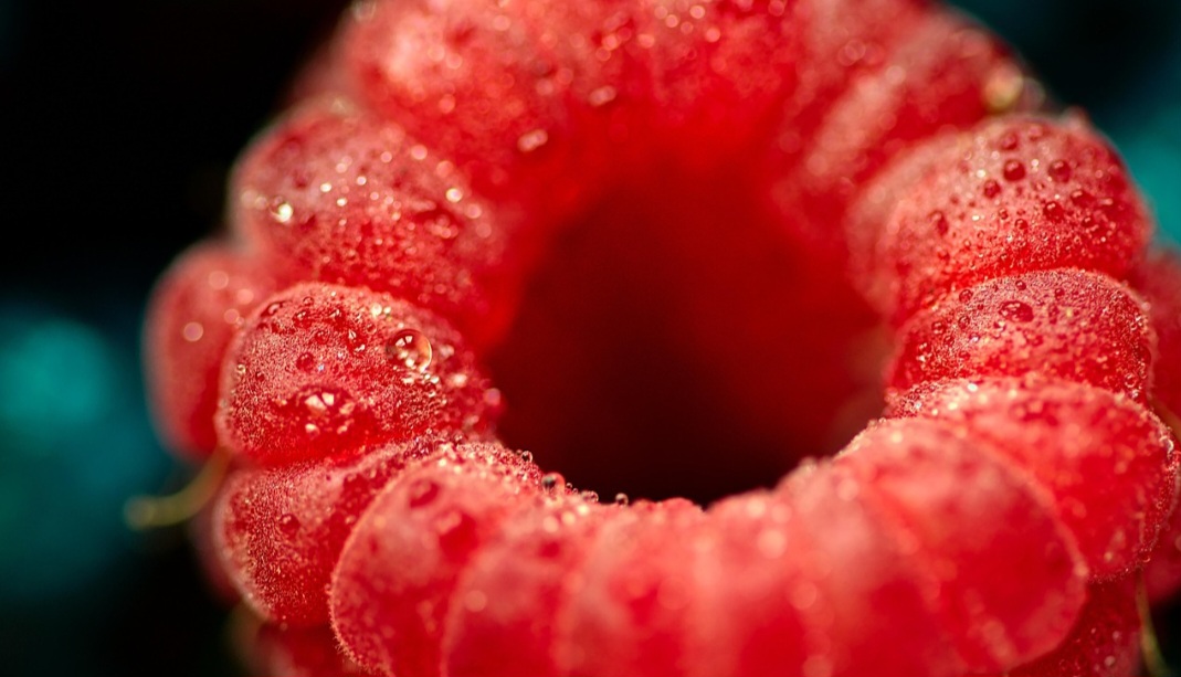 Ela apresenta diferentes variedades, com algumas sendo mais resistentes a condições climáticas, como o inverno. Assim, existem principalmente dois tipos deste fruto, considerando a coloração: vermelhas e pretas, com variações híbridas (amarelas e roxas).