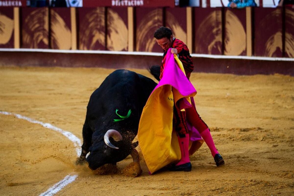 Na França, as touradas foram reconhecidas como parte do Patrimônio Cultural e Imaterial do país, de acordo com a Convenção da UNESCO para proteger o patrimônio cultural.