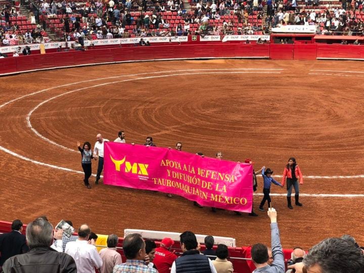 Na América Latina, ainda são realizadas touradas no México, Peru, Venezuela, Equador e Bolívia.  Algumas regiões dos Estados Unidos, como a Califórnia, também mantêm a prática. No Japão, existe tourada, mas de outro jeito: é uma disputa entre touros. 