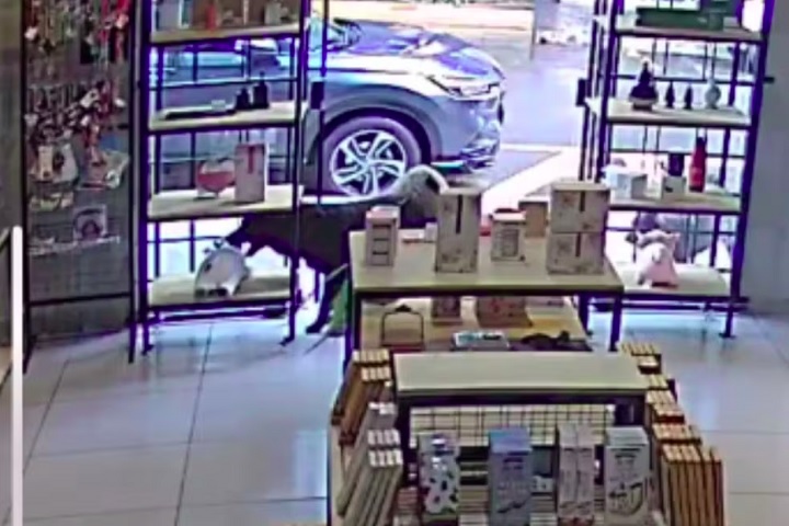 A cena curiosa aconteceu o dia 25/04/2025 e foi registrada pelas câmeras de segurança.