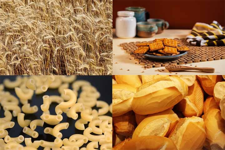 O trigo é um cereal do tipo gramínea cujos grãos processados são considerados por alguns como a fonte de alimento mais importante globalmente. Por outro lado, ele também pode gerar reações alérgicas em determinadas pessoas. 