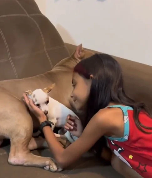 Um desses casos aconteceu com a Paçoca, uma pinscher ciumenta. Ela começava a latir para sua tutora, uma criança, quando ela se aproximava do irmão pitbull, de nome Big. 