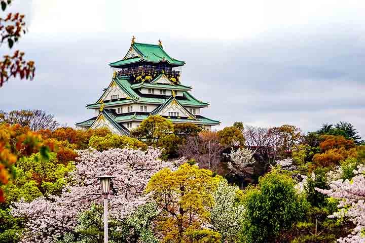Afinal, o governo japonês usou a imagem da sakura como símbolo de sacrifício e nacionalismo, associando-a aos kamikazes, pilotos que realizavam ataques contra a própria vida.