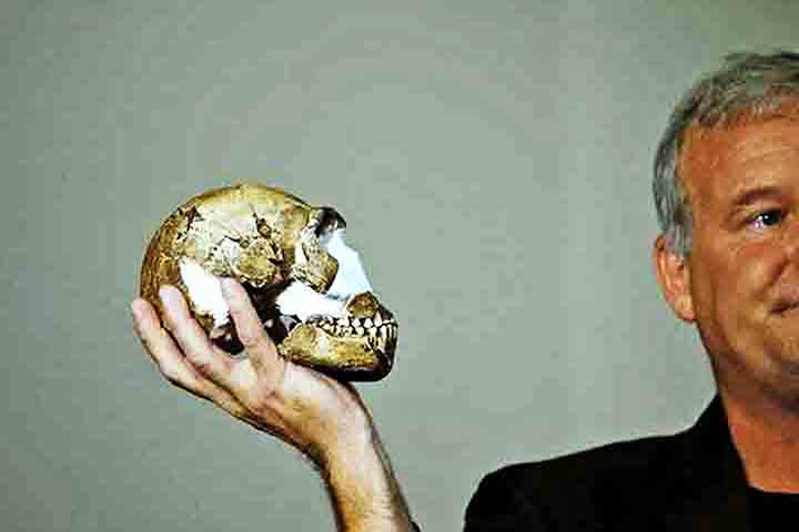 Revisão evolutiva - Após analisar 15 esqueletos de Homo Naledi descobertos em uma caverna da África do Sul, um grupo de cientistas contestou a tese de que essa espécie de hominídio tinha ações consideradas complexas, como enterrar os mortos e fazer decorações em sepulturas.

