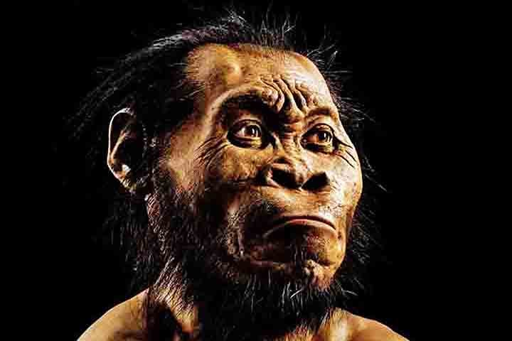 Os restos mortais de Homo Naledi foram encontrados sem nenhum sinal de elaboração ritualística, o que freou a hipótese de um novo roteiro nas teorias da evolução. A espécie foi identificada em 2015 e especulava-se que tinha hábitos elaborados de vida, o que não se confirmou.
