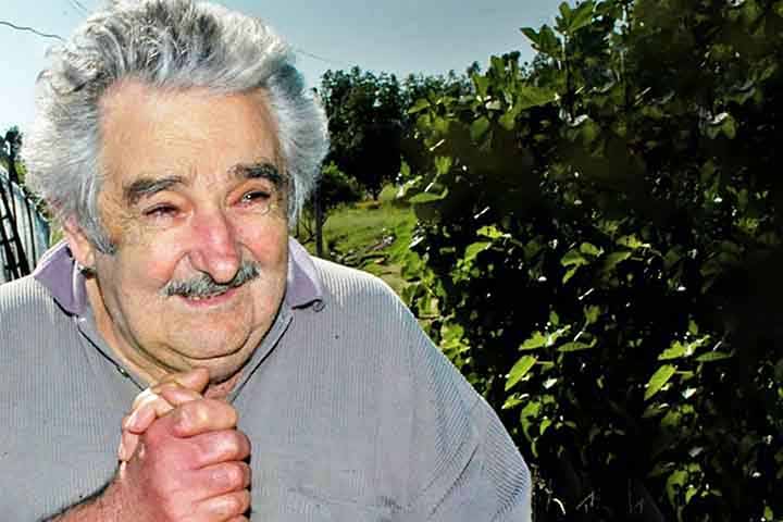 “A vida é uma bela aventura e um milagre. Estamos muito focados na riqueza e não na felicidade. Estamos focados apenas em fazer as coisas e, antes que você perceba, a vida já passou”, pontuava.