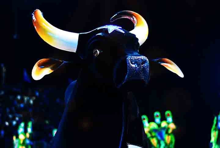 A história de Parintins está intrinsecamente ligada à tradição do boi-bumbá, que foi trazida para a região por trabalhadores maranhenses durante o ciclo da borracha. 