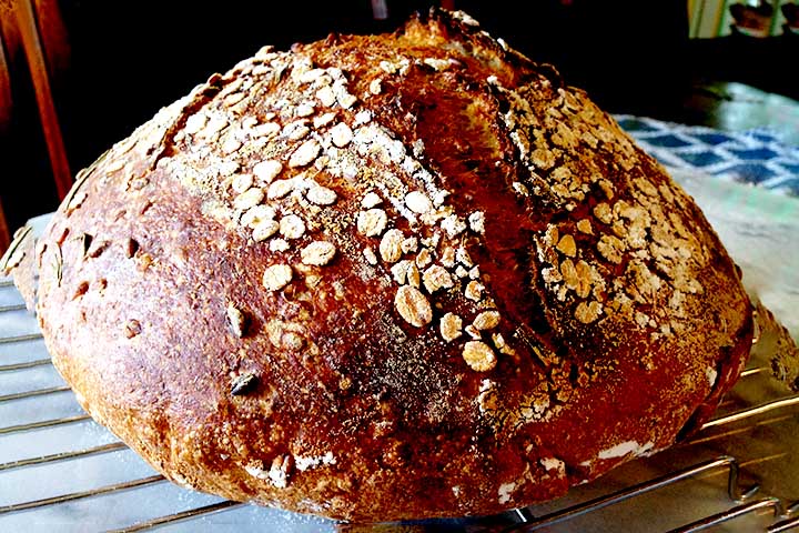 A gramínea cerealífera (cevada) é uma das principais fontes de alimento para humanos e animais e pode ser utilizada na feitura de pães e bolos.