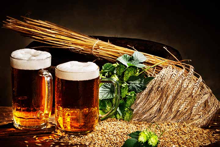 Os ingredientes principais da cerveja são água, malte, lúpulo e levedura. O malte é extraído da cevada, dando dá aroma, sabor, cor, corpo, enquanto o lúpulo é o tempero. Por fim, a levedura come os açúcares e os transforma em álcool e gás carbônico