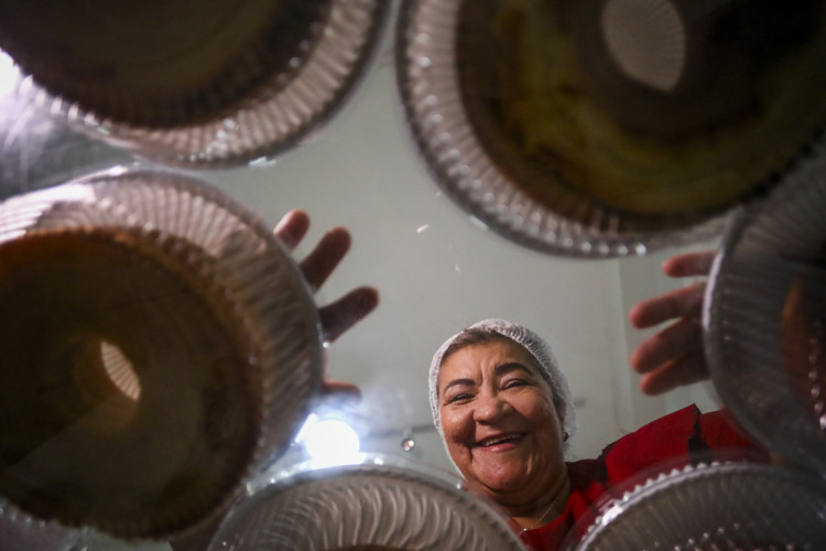 FORTALEZA-CE, BRASIL, 25.06.2025: Bolos juninos e dona Fátima para as páginas Azuis.  (Fotos: Fabio Lima)