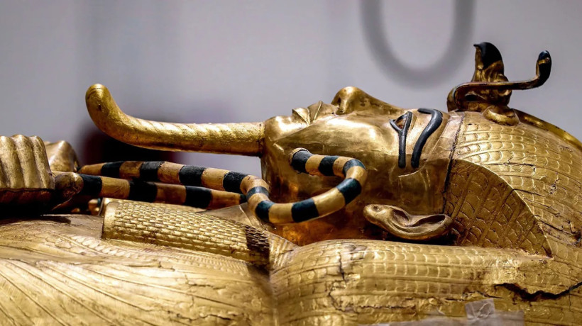 Associado à Maldição do Faraó, fungo mortal presente em tumbas egípcias pode se tornar aliado da ciência no combate ao câncer