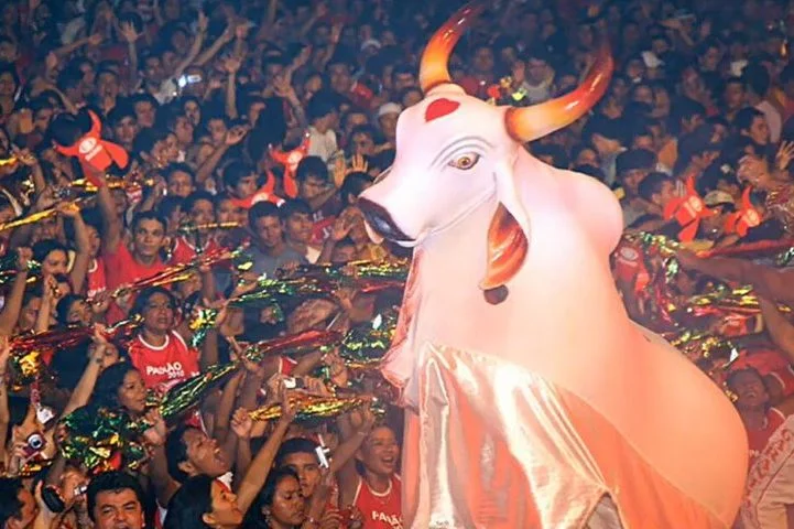 O festival é marcado pela disputa entre dois bois-bumbás: Garantido, representado pela cor vermelha, e Caprichoso, simbolizado pela cor azul. 