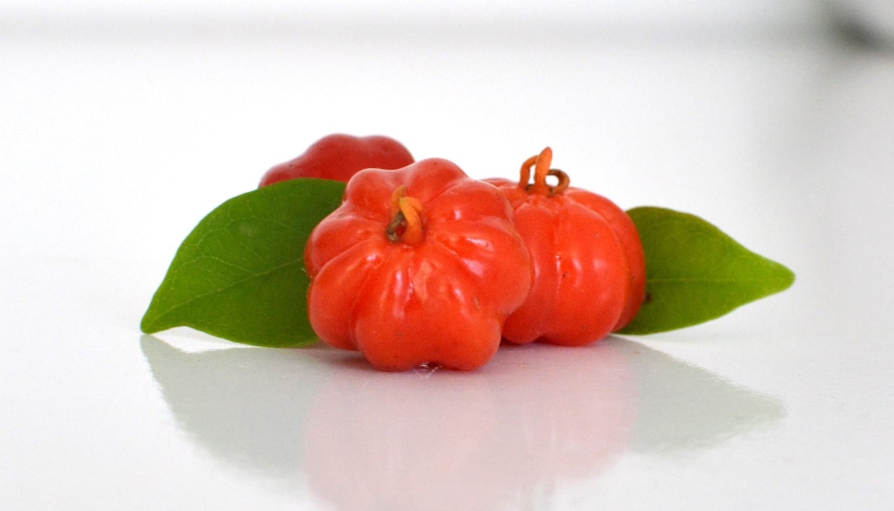 A pitanga é uma fruta que possui muitos nutrientes como vitaminas A, B e C, cálcio, fósforo e ferro, que auxiliam no combate ao envelhecimento precoce, aliviam os sintomas de artrite e previnem o desenvolvimento de doenças cardiovasculares.