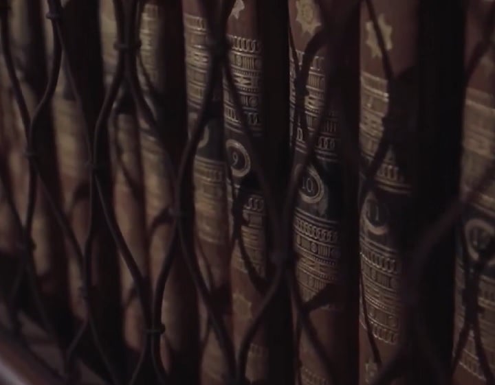 Todo o projeto recebeu apoio financeiro do Conselho Europeu de Pesquisa (ERC).