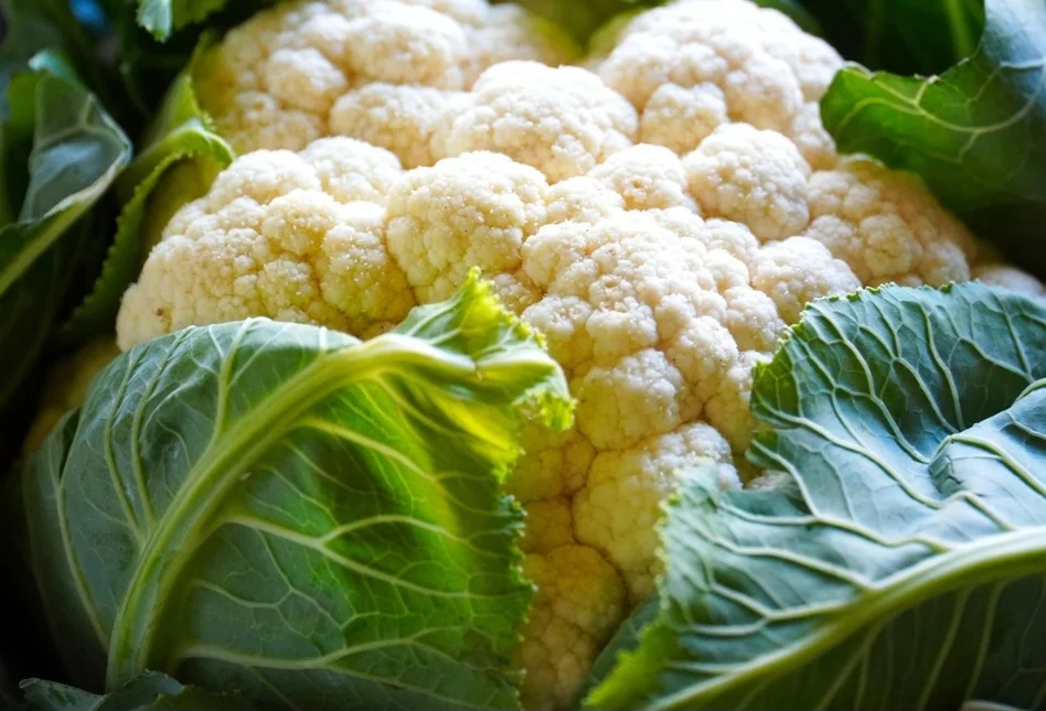 A couve-flor é um alimento com múltiplos benefícios para a saúde, incluindo fortalecer o sistema imunológico, melhorar a digestão, proteger contra o câncer e melhorar a saúde óssea.