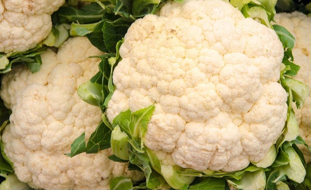 Nesse sentido, ela regula o intestino e melhora a saúde da flora intestinal. Isso porque contém fibras, que ajudam na evacuação e também servem de alimento para as bactérias benéficas para o bom funcionamento deste órgão. 