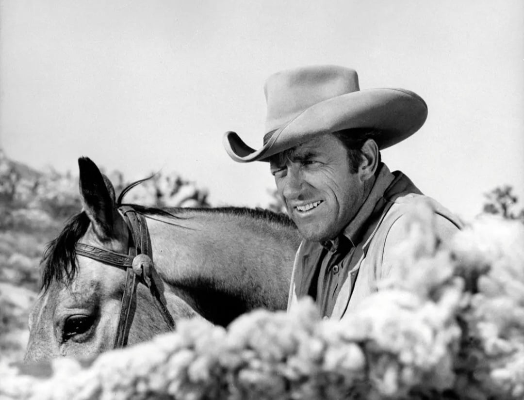 No cinema, ficou conhecido ao interpretar o delegado Matt Dillon na série Gunsmoke. Morreu em 3/6/2011 aos 88 anos 