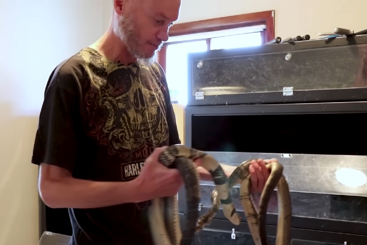  Seus anticorpos únicos chamaram a atenção do imunologista Jacob Glanville, da empresa Centivax. 