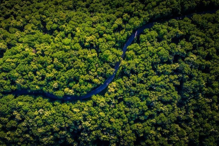 No passado, a região foi alvo de disputas coloniais entre potências europeias, como Reino Unido, França, Países Baixos, Espanha e Portugal, especialmente a partir do século 17.