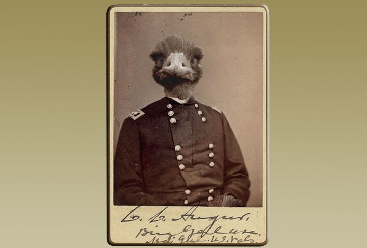 A Grande Guerra aos emus foi satirizada à época por publicações. Teve até ilustração de uma ave com vestes militares.