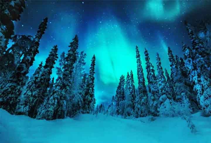 Finlândia - Quase 75% do país é coberto por florestas boreais de abetos e pinheiros, essenciais para a fauna local. O nome vem da palavra boreal, que significa do norte ou relativo ao norte. Esse bioma é predominante nas regiões subárticas e temperadas do hemisfério norte, onde o clima frio e os invernos longos favorecem o crescimento de árvores coníferas.