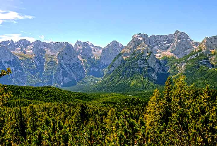 Áustria - Nos Alpes, florestas de coníferas com belos pinheiros protegem a biodiversidade e os solos montanhosos. Os pinheiros são coníferas do gênero Pinus, com folhas em forma de agulhas e cones que contêm suas sementes. São adaptáveis a diferentes climas, possuem madeira versátil e são amplamente usados na produção de papel, móveis e resinas.

