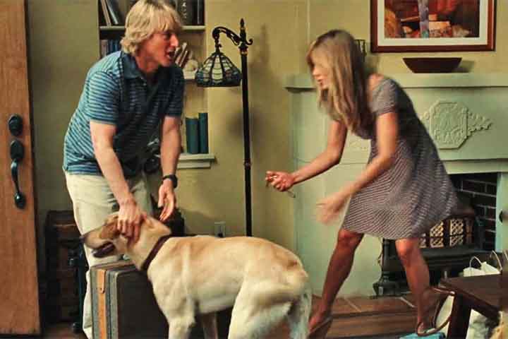 Um dos trabalhos mais conhecidos do ator foi na adaptação do best-seller “Marley e Eu”, de 2008, em que fez par romântico com Jennifer Aniston. 

