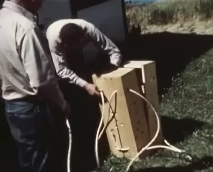 Foram necessários vários experimentos para fazer o plano funcionar. Foram criadas caixas de madeira sem tampa, que se abriam como malas e tinham furos de 2,5 cm para que os castores conseguissem respirar e se mexer durante o voo.