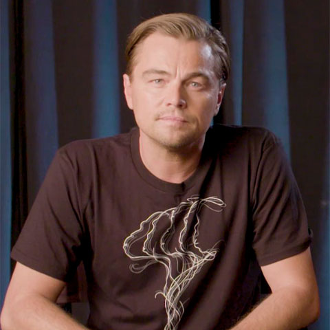 Leonardo DiCaprio, ator americano, criticou em 2019 o desmatamento e as queimadas na Amazônia e defendeu boicote a produtos ligados ao desmatamento. A declaração ocorreu durante campanha ambiental nas redes sociais.
