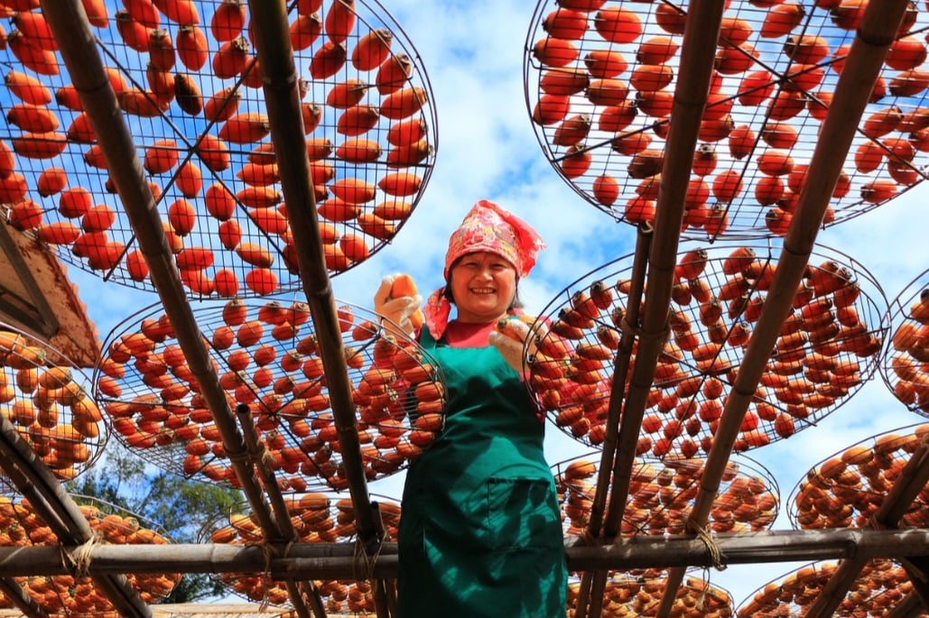 O caqui não traz riscos à saúde. Por outro lado, deve ser consumido com moderação por quem tem diabetes, pois há grande concentração de glicose e frutose.