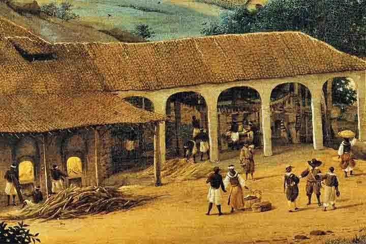 Na atualidade, o Brasil é o maior produtor de cana-de-açúcar do mundo. Afinal, o ciclo desse alimento no país foi um período que se estendeu do século XVI ao século XVIII. 