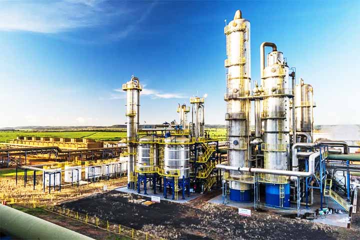 A sacarose, extraída e purificada em fábricas especializadas, é utilizada como matéria-prima na indústria de alimentos humanos ou é fermentada para produzir etanol.