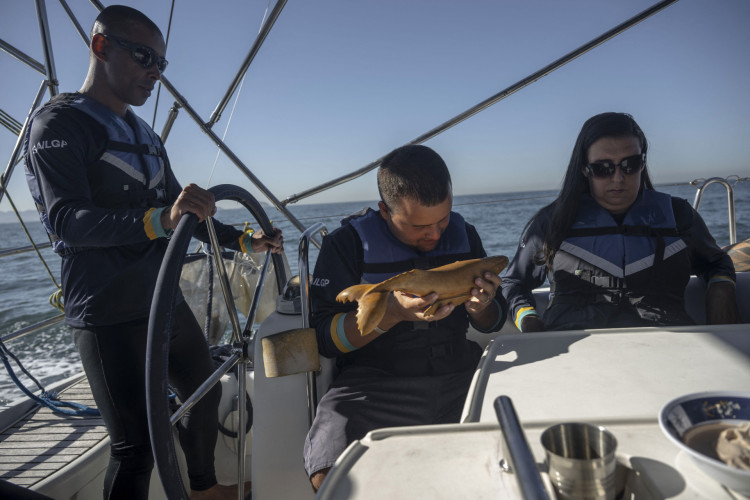 Fernando Araujo (ao centro) toca uma baleia jubarte em miniatura enquanto um bi&oacute;logo descreve o animal durante uma aula de vela organizada pela ONG Nas Mares na Ba&iacute;a de Guanabara, Rio de Janeiro