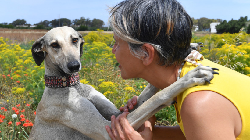 A veterinária Olfa Abd treina cães de caça tunisianos Sloughi em uma praia em Cap Angela. Os sloughis têm sido retratados na arte e na tradição desde pelo menos a era romana