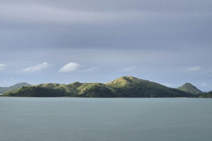 Alguns cientistas sugerem que a Zelândia poderia ter abrigado vida animal e vegetal antes de submergir.
