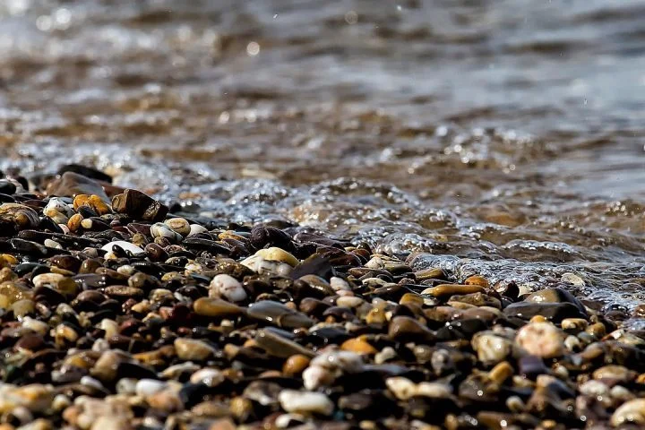 Há também dúvidas quanto à metodologia usada, baseada em evidências indiretas.