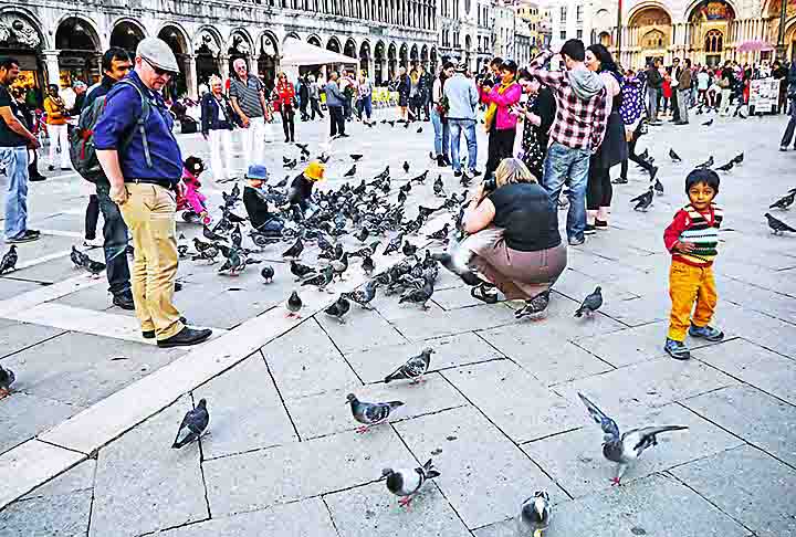 Veneza, Itália (praça st markâ)Pombos, aves - Flickr Jay Galvin
