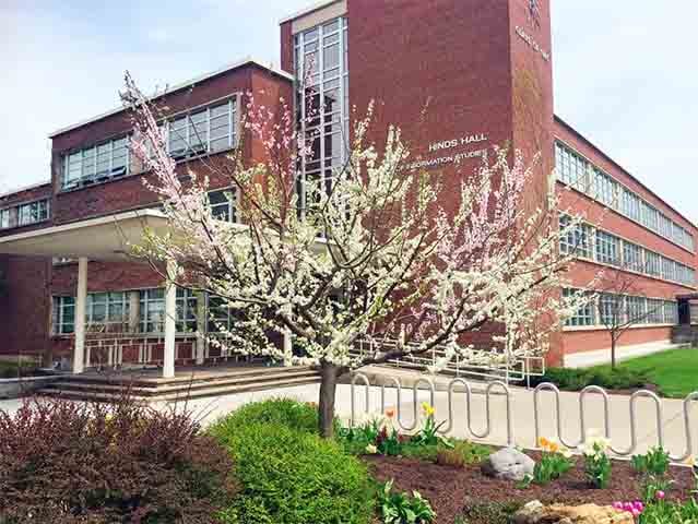 Na primavera, a árvore exibe uma floração multicolorida, com flores em tons de rosa, branco e vermelho.