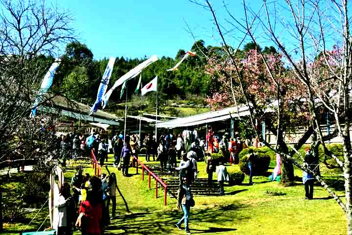 A festa acontece em 26 e 27 de julho e em 2, 3, 9, 10, 16 e 17 de agosto, sempre das 9h às 16h, no Parque da Cerejeira. Inspirada na tradicional celebração japonesa do Hanami - o costume de contemplar a florada das cerejeiras -, o evento mistura cultura japonesa com o charme da Serra da Mantiqueira.