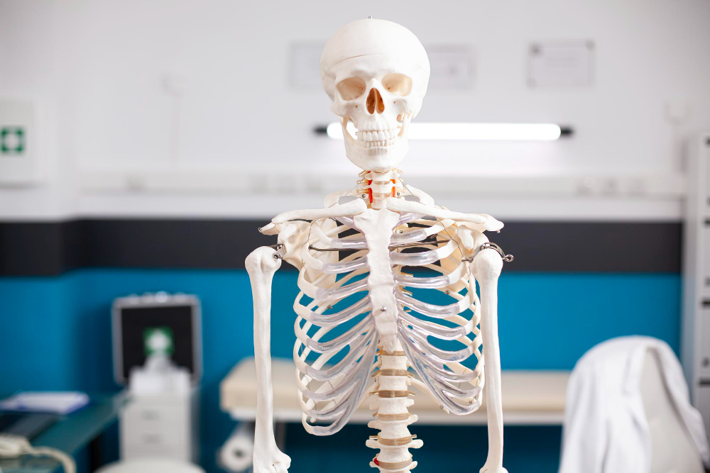 É realmente incrível e para mim é uma notícia fantástica. Isso faz com que tudo que passamos, todas as operações, tudo que meus pais sofreram, tenha valido a pena, afirmou Tim.