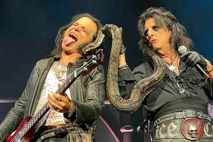 Os seus shows performáticos com itens e roupas típicas de filmes de terror tornaram-se uma marca. Ate mesmo com animais vivos, como cobras.
