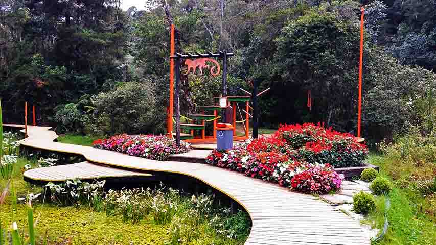 O Bosque do Silêncio (foto), próximo ao Capivari, também é ideal para um momento de paz. Já o Pico do Itapeva, com sua vista panorâmica, proporciona um espetáculo da natureza em 360 graus.