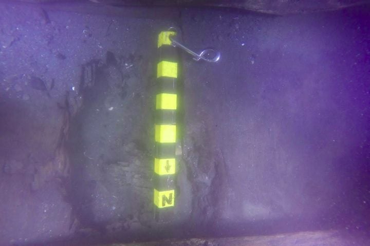 A instituição alegou quebra de acordo e precipitação nos resultados da descoberta.