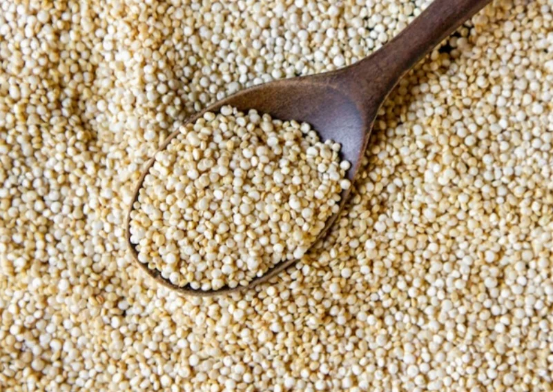 A partir da presença na Etiópia, de acordo com pesquisas, o gergelim se espalhou para o Sudão, Egito e Índia, onde se desenvolveram diversas variedades. Ele se adaptou a diferentes condições climáticas e ambientais em cada região. 