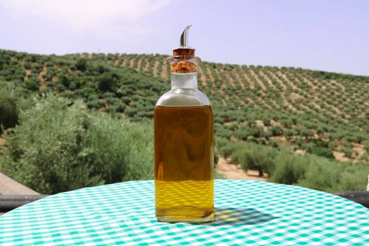 Os países com os melhores azeites do mundo se destacam por fatores como clima ideal, tradição milenar, variedade de azeitonas e técnicas avançadas de produção.