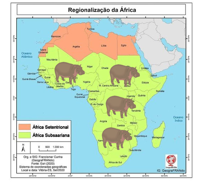 O hipopótamo comum tem origem na África Subsariana, a parte do continente africano situada ao sul do Deserto do Saara.