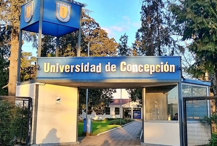 Pesquisadores da Universidade de Concepción, no Chile, identificaram duas populações na região de Araucanía.