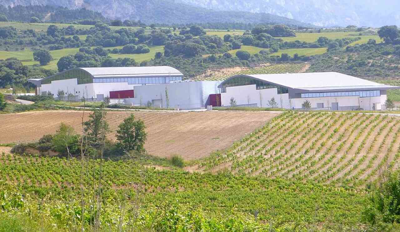 Bodegas Vega Sicilia (Espanha) - Conhecida por seus vinhos tintos de alta qualidade, como o Vega Sicilia Único, é uma das vinícolas mais renomadas da Espanha