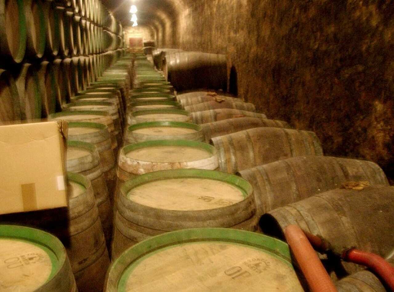 Bodegas Marqués de Riscal (Espanha) - Uma das vinícolas mais antigas da Espanha, produz vinhos tintos e brancos de alta qualidade, incluindo o Marqués de Riscal Reserva