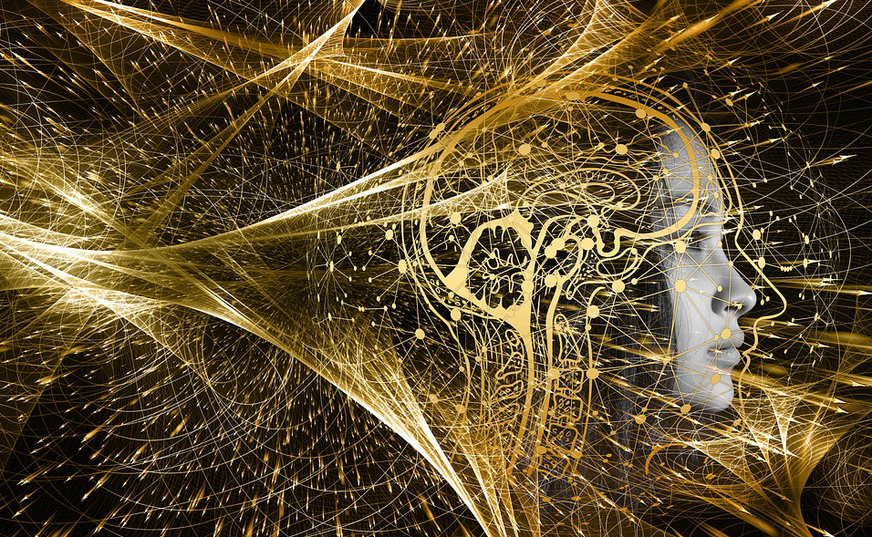 O ômega 3 é um componente vital das membranas celulares do cérebro, promovendo a comunicação entre as células nervosas e potencialmente melhorando a cognição.